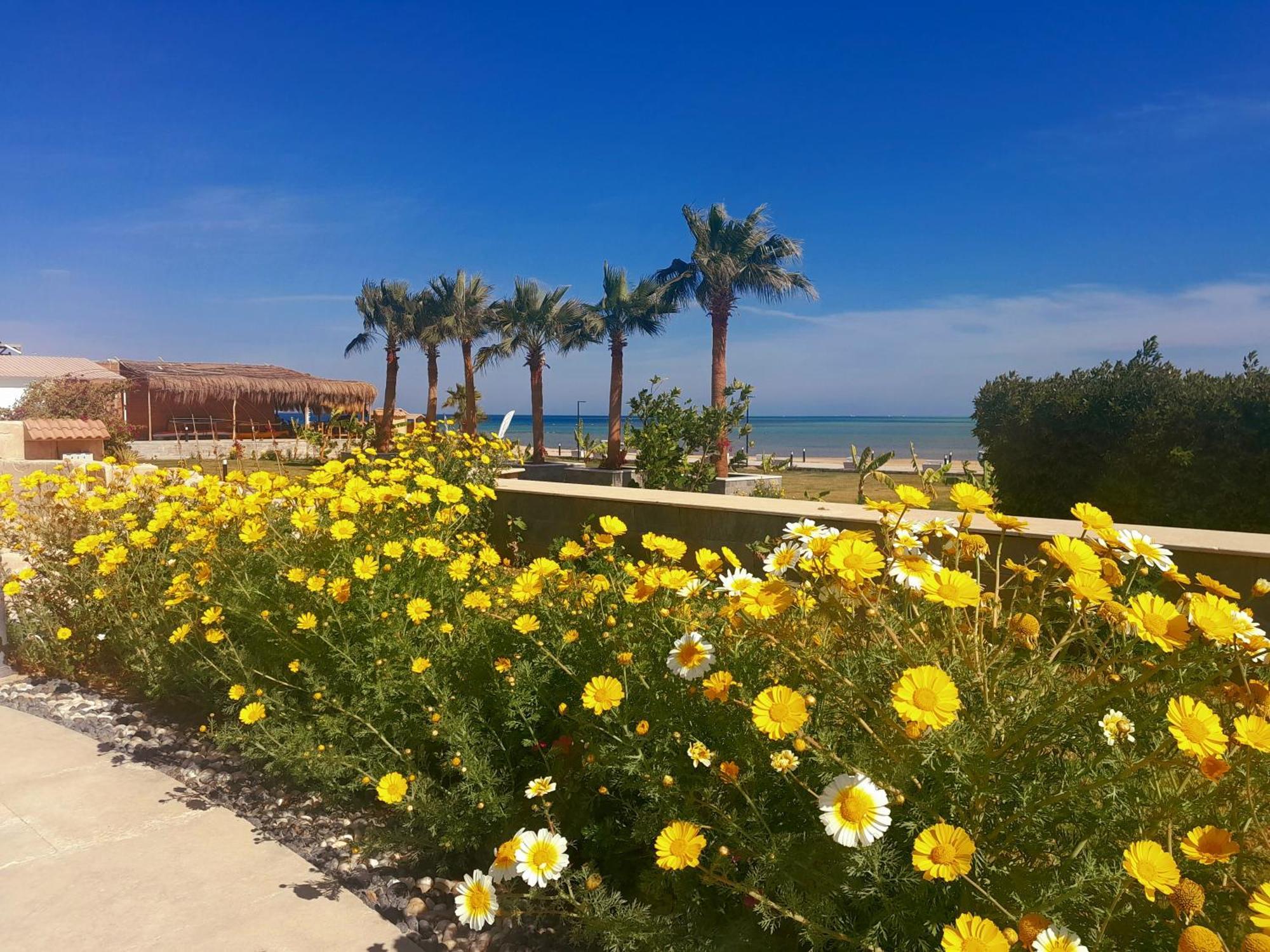Selena Bay Hurghada